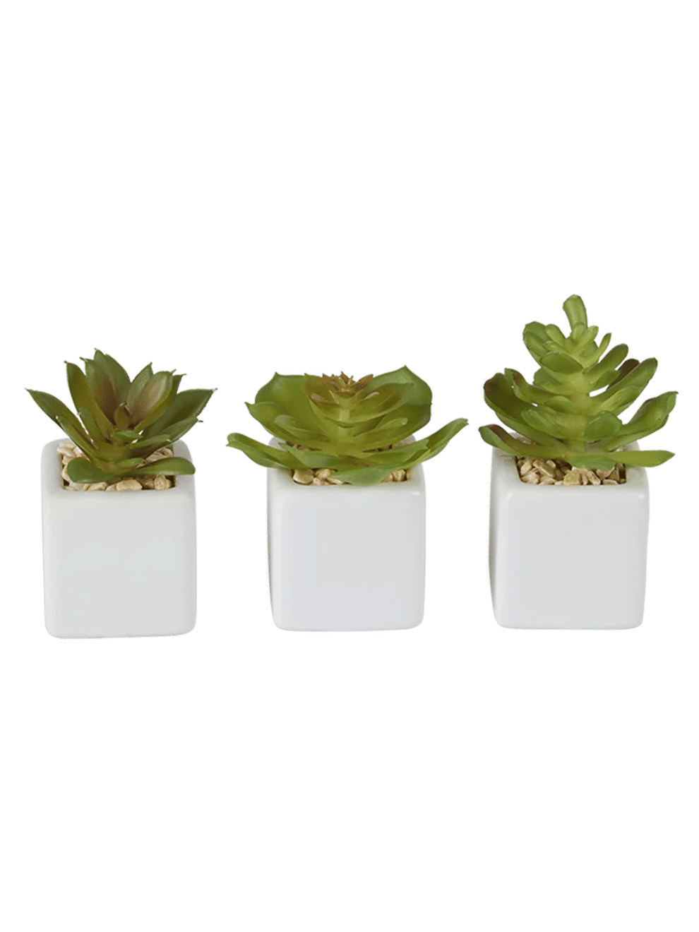 Set Of 3 Artificial Succulents In White Pots (1)