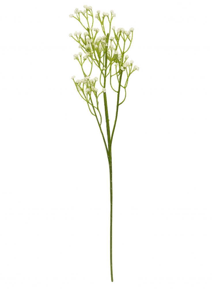 Delicate White Floral Stem
