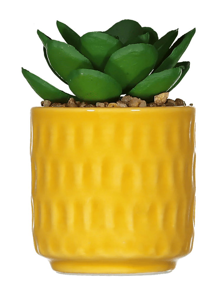Small Textured Pot with Artificial Succulent (1)