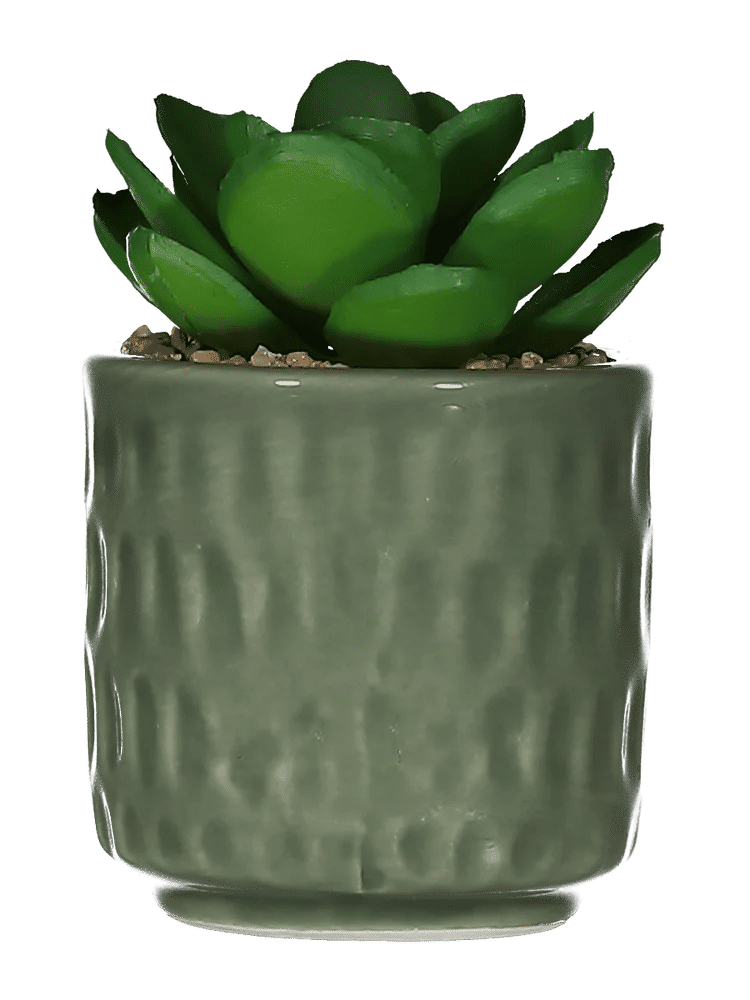 Small Textured Pot with Artificial Succulent (2)