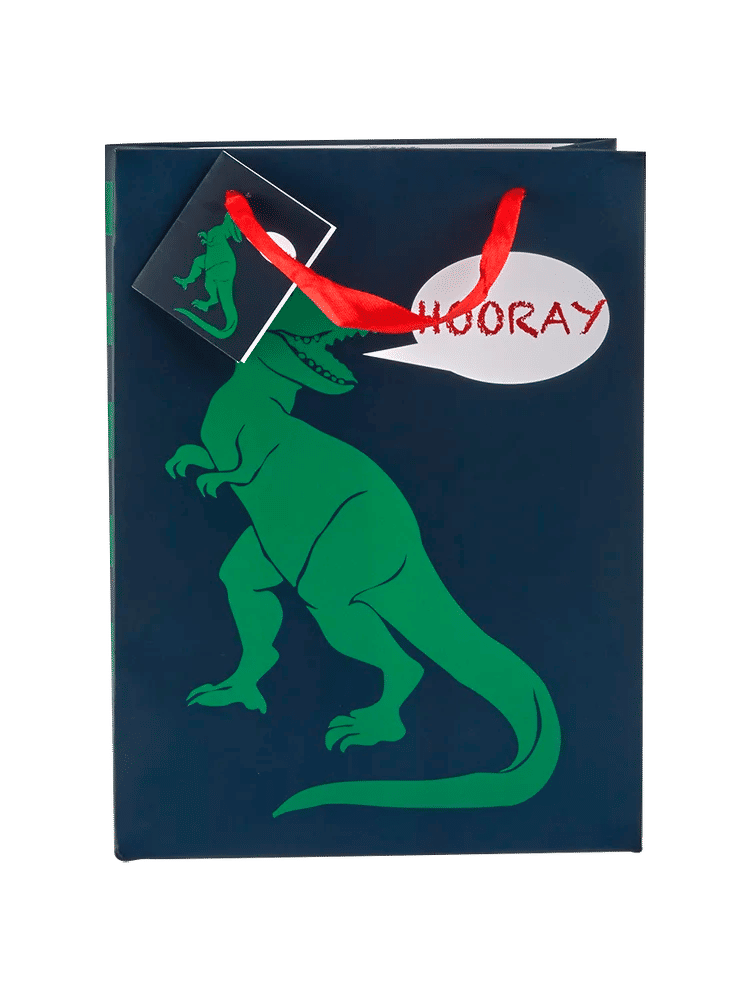 Medium Dinosaur and Cheetah Printed Gift Bags (3)