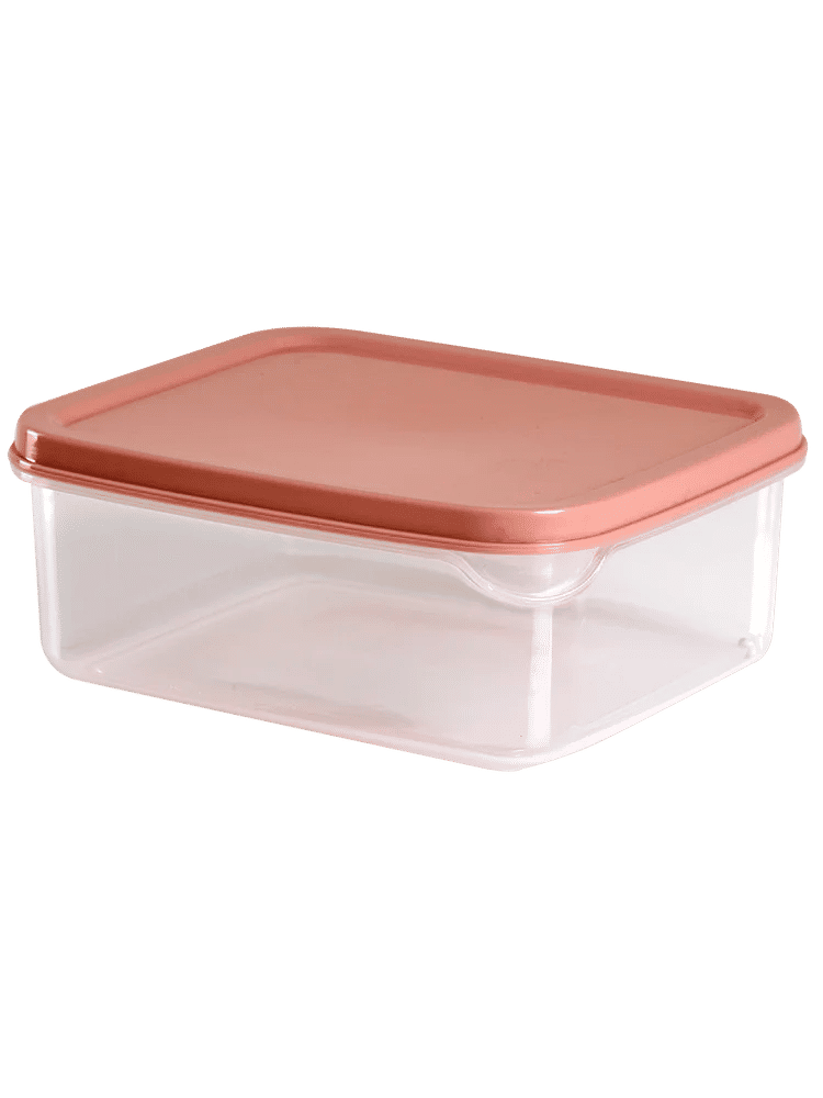 2 Pack Rectangular Food Storage Container (2)