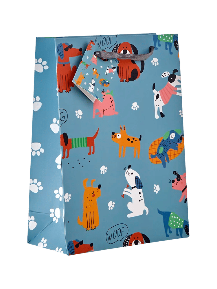 Medium Assorted Printed Paper Gift Bags (1)