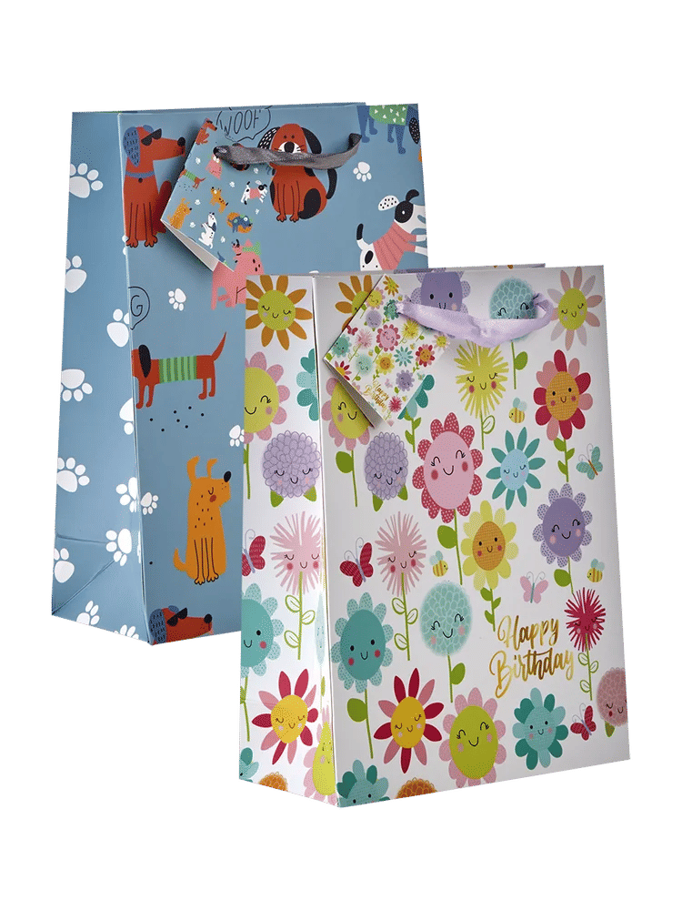 Medium Assorted Printed Paper Gift Bags (4)