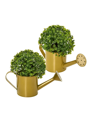 Watering Can