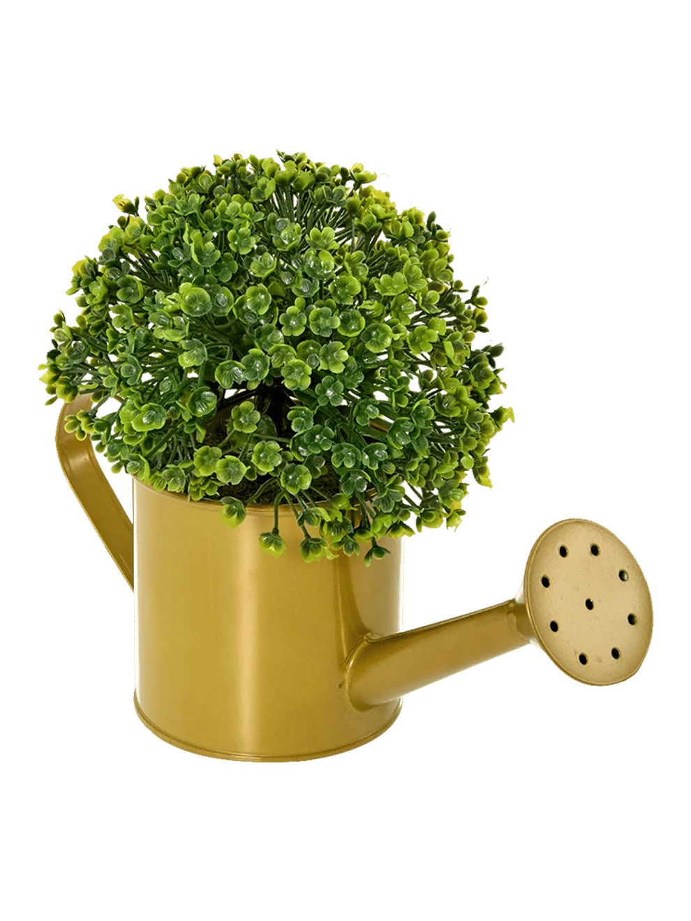 Watering Can (1)
