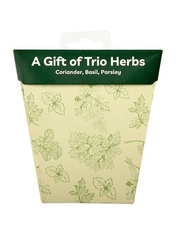 Trio Herb Greeting Card Set