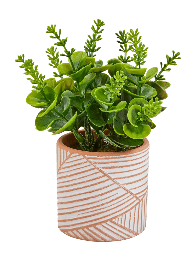 Geometric Pattern Ceramic Plant Pot (5)