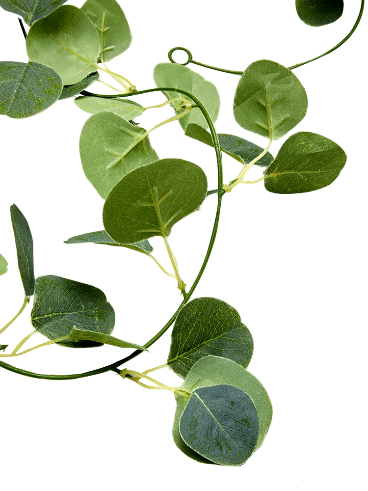 Artificial Eucalyptus Leaf Garland (1)