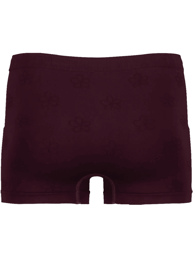 Seamless Boyleg Panty (1)