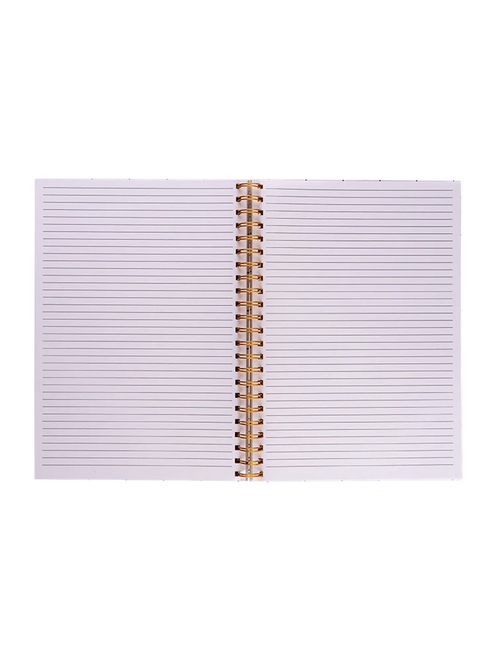 A4 Hardcover Notebooks (Assorted) (2)