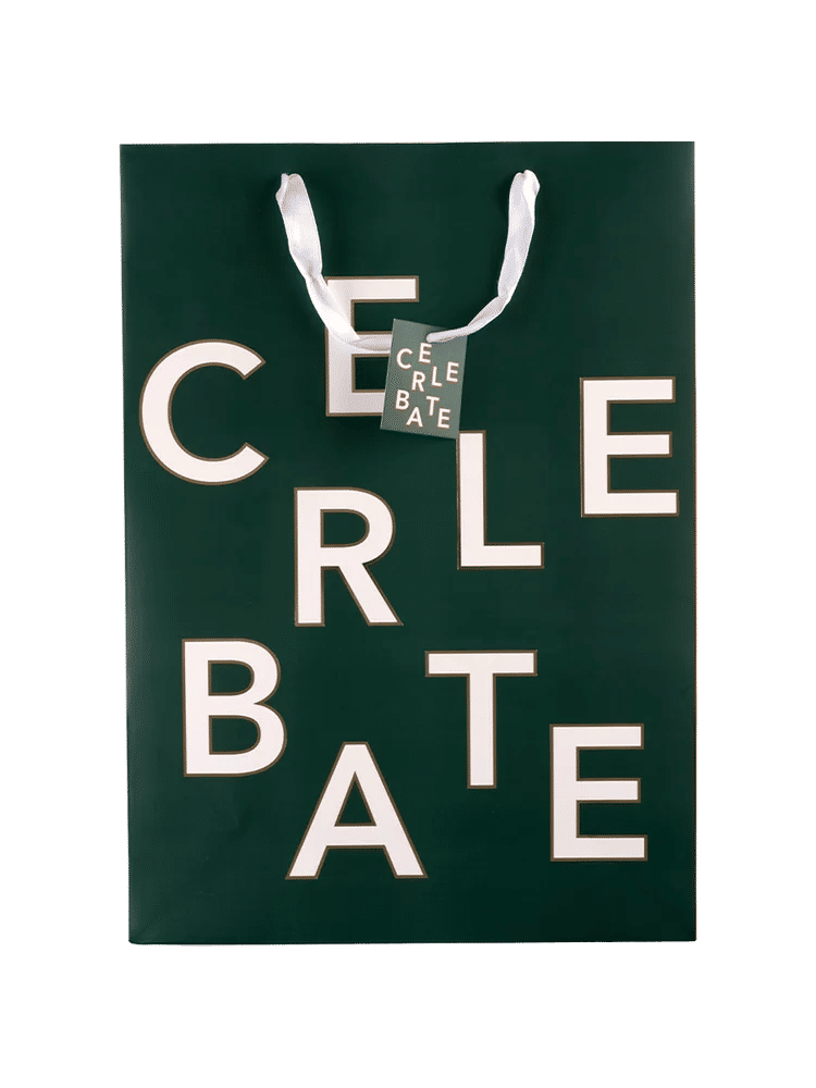 Extra Large Gift Bag (Assorted) (2)