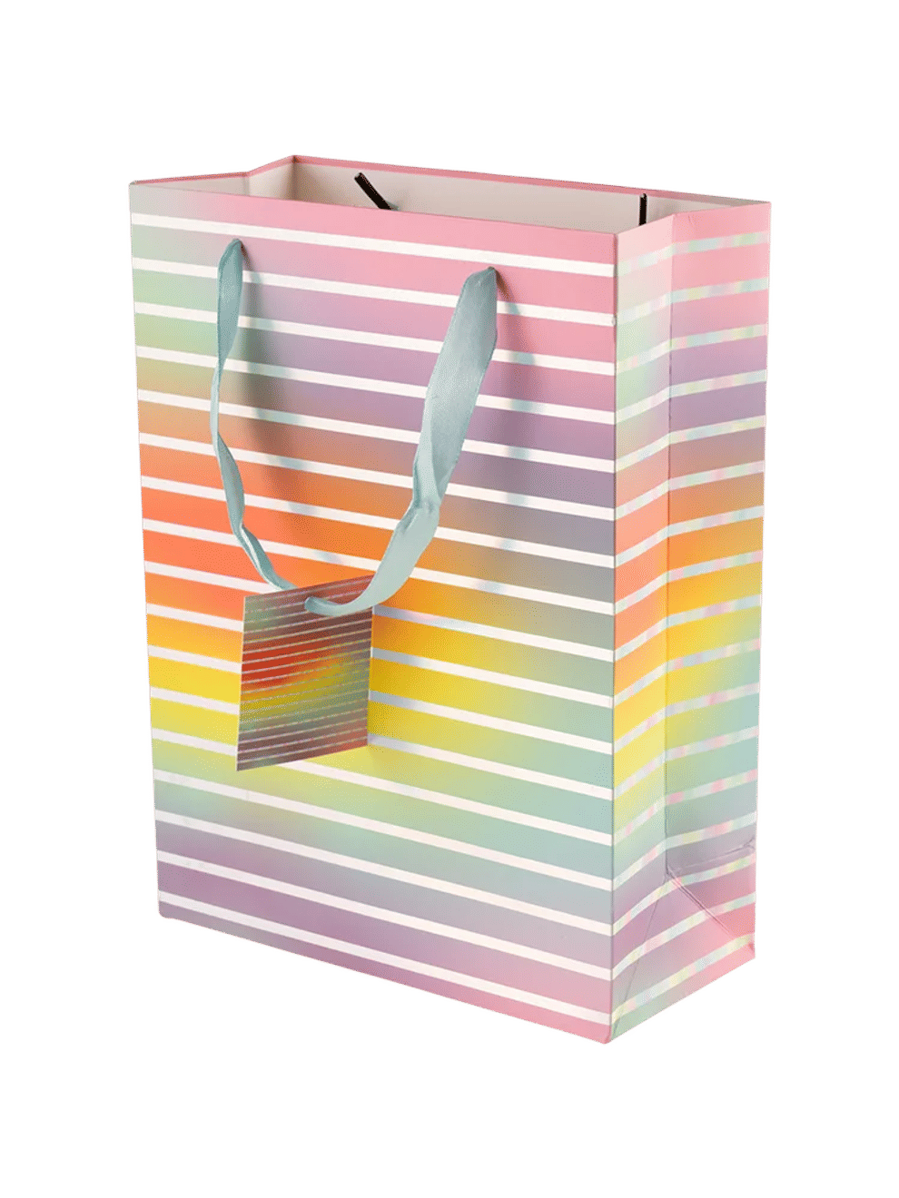 Medium Decorative Gift Bags (Assorted) (2)