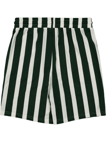 Striped Drawstring Shorts
