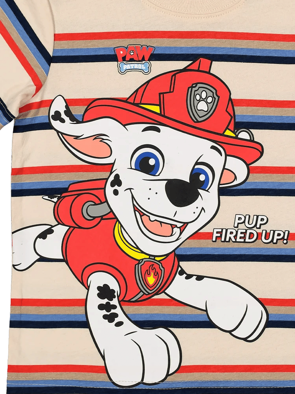 Paw Patrol Marshall Striped T-Shirt (2)