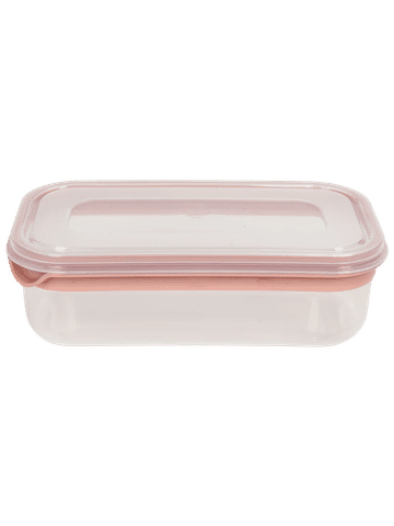 Medium Plastic Container