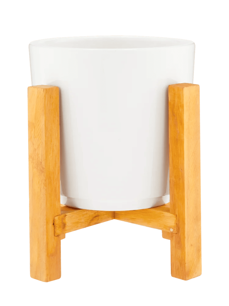Small White Pot On Stand