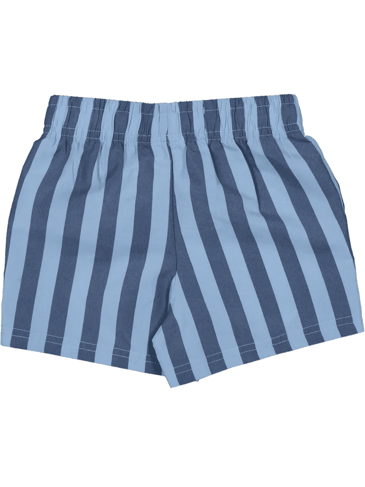 Deep Blue Striped Casual Shorts (2)