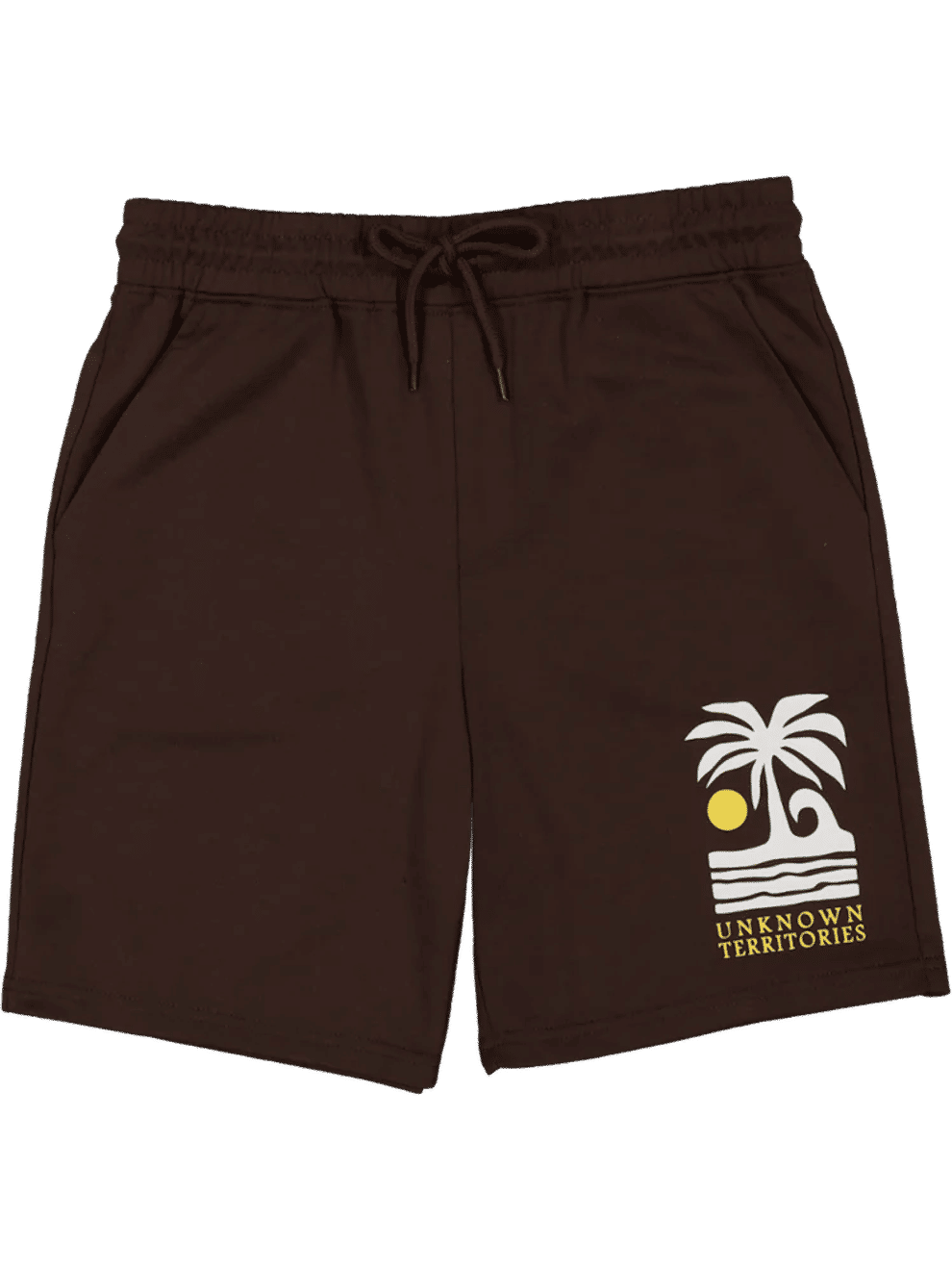 Graphic Print Brown Casual Shorts