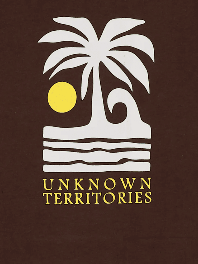 Brown Graphic Print T-Shirt (1)