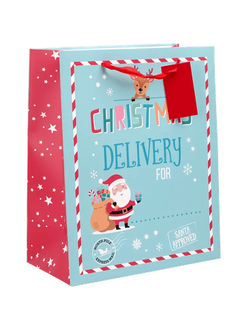 Large Christmas Paper Gift Bag