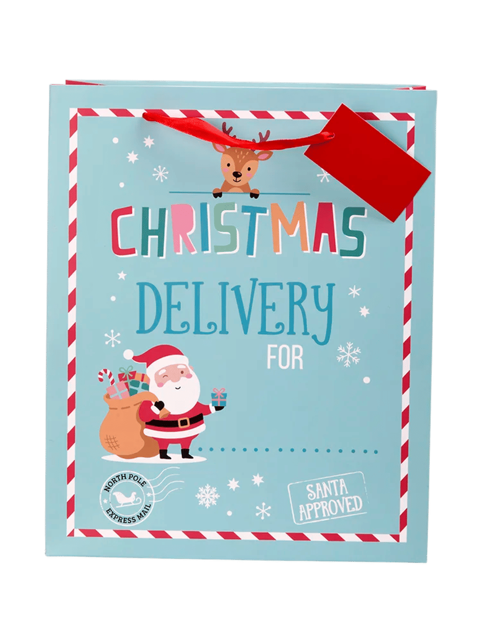 Large Christmas Paper Gift Bag (2)