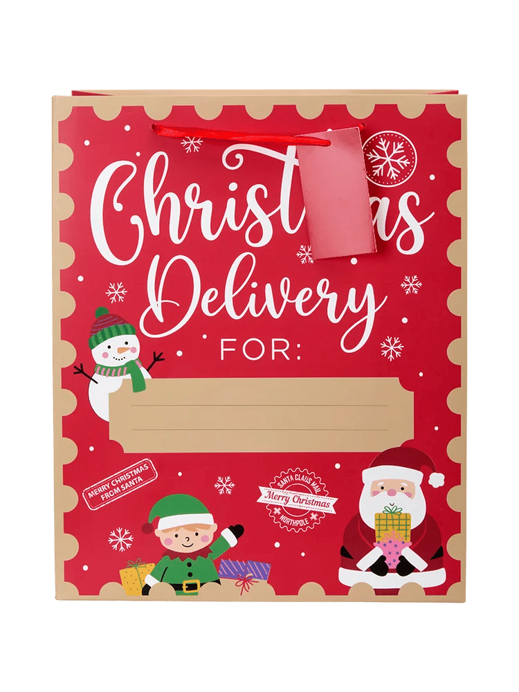 Large Christmas Paper Gift Bag (5)
