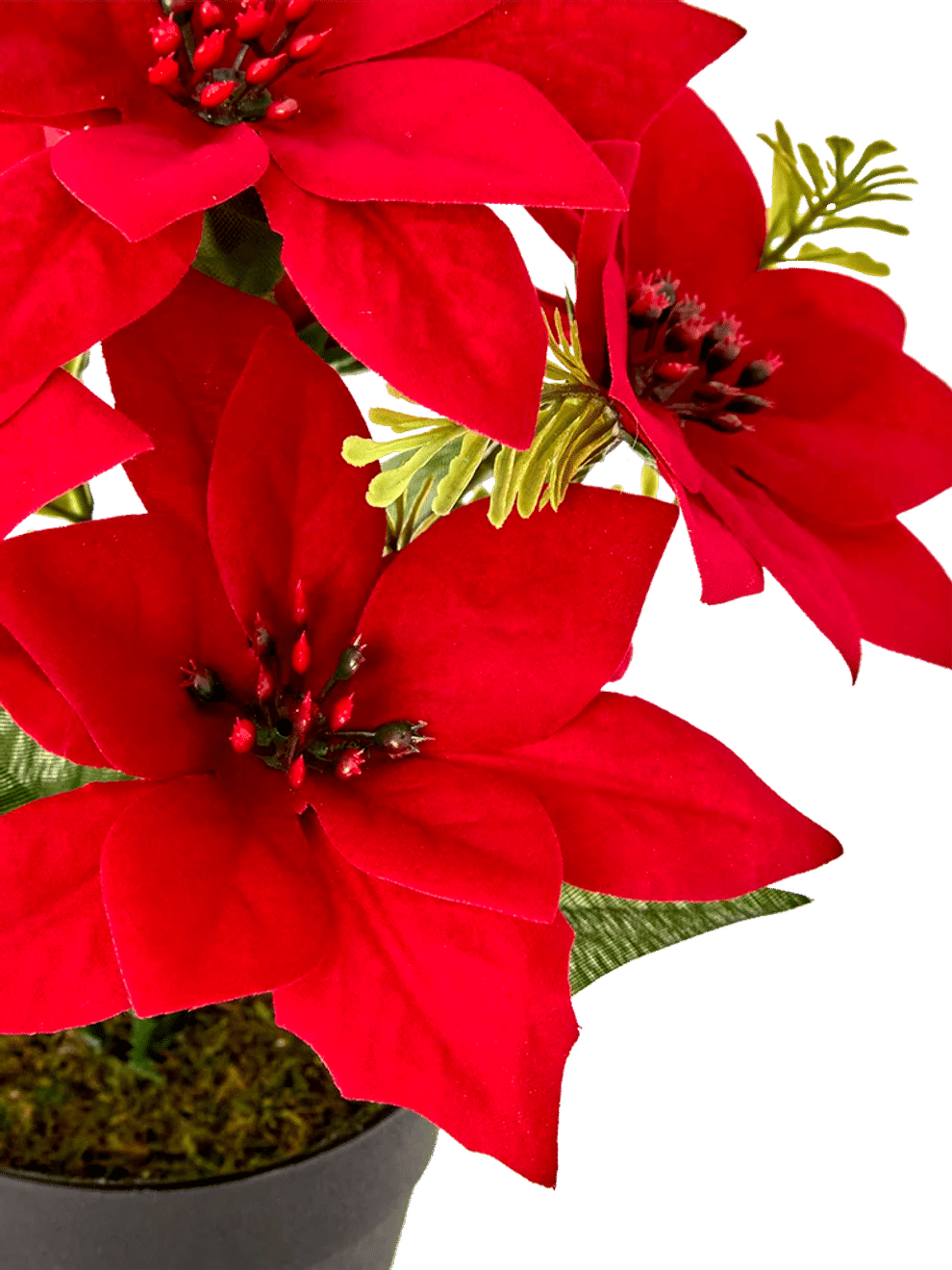 Artificial Poinsettia in Black Pot (Assorted) (1)