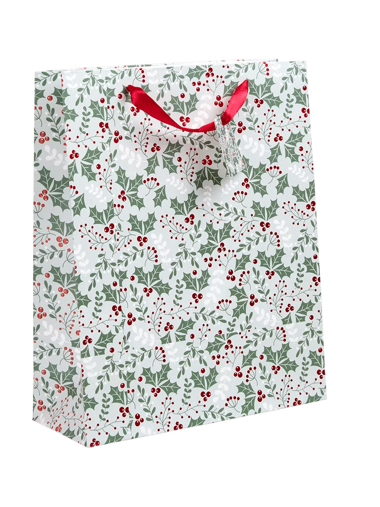 Large Christmas Gift Bag (Assorted) (2)