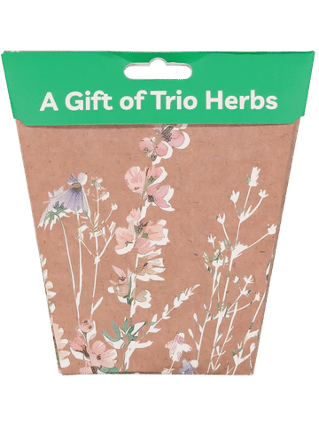 A Gift Of Trio Herbs Greeting Card