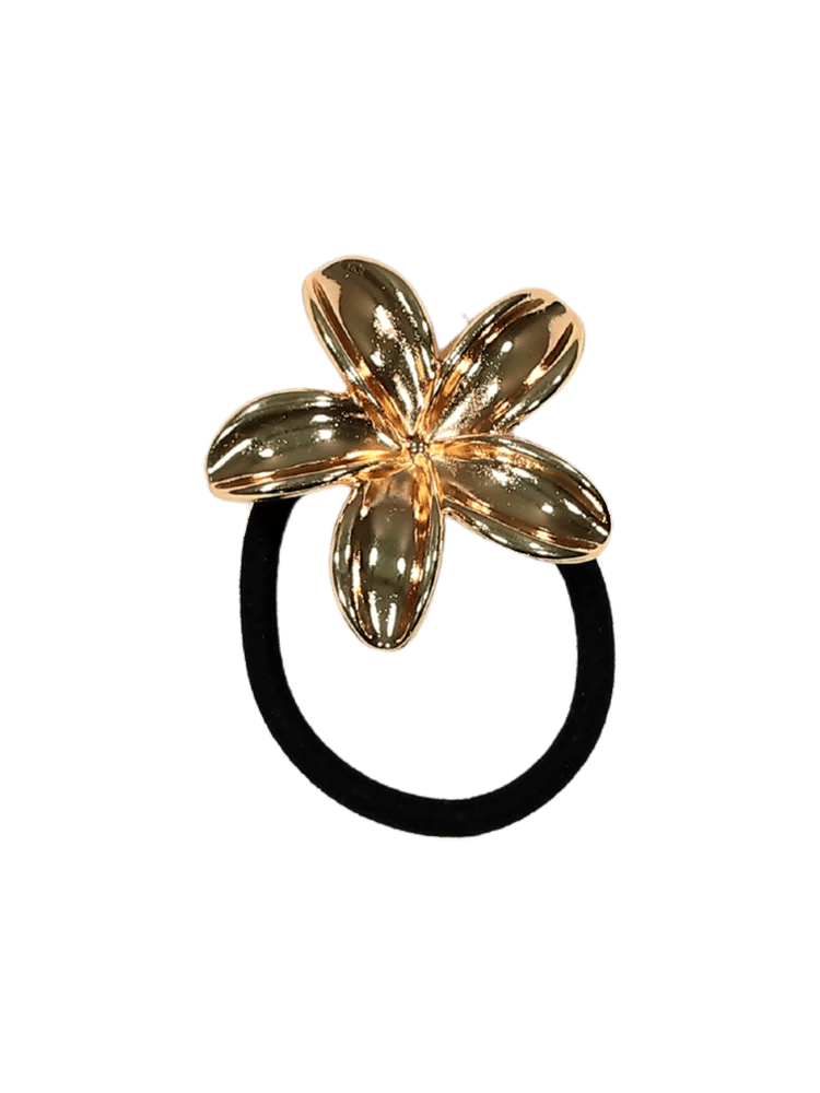 Gold Assorted Hair Elastics