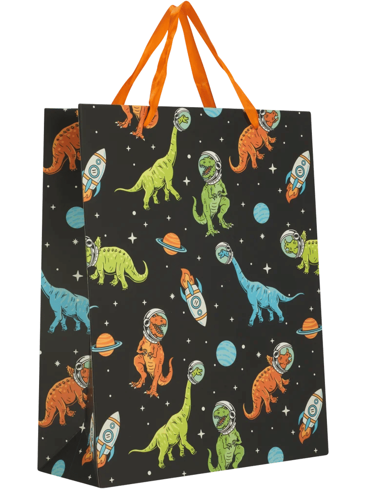 Kids Large Gift Bag (3)