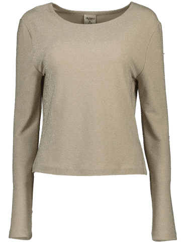 Beige Glamour Top