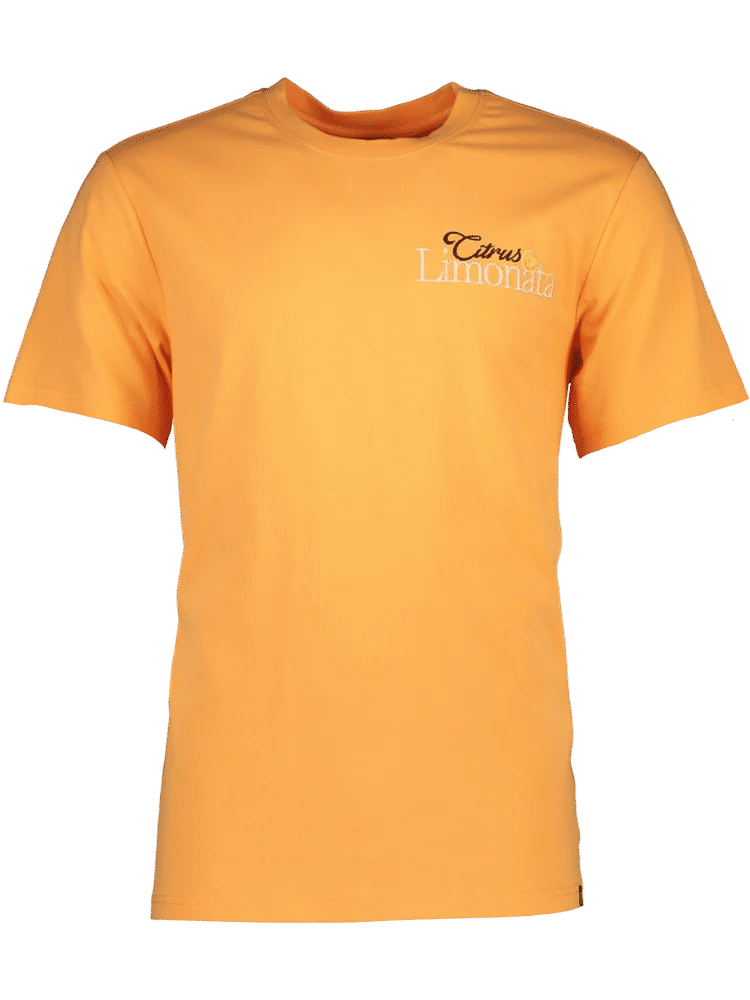 Orange Embroidered T-Shirt