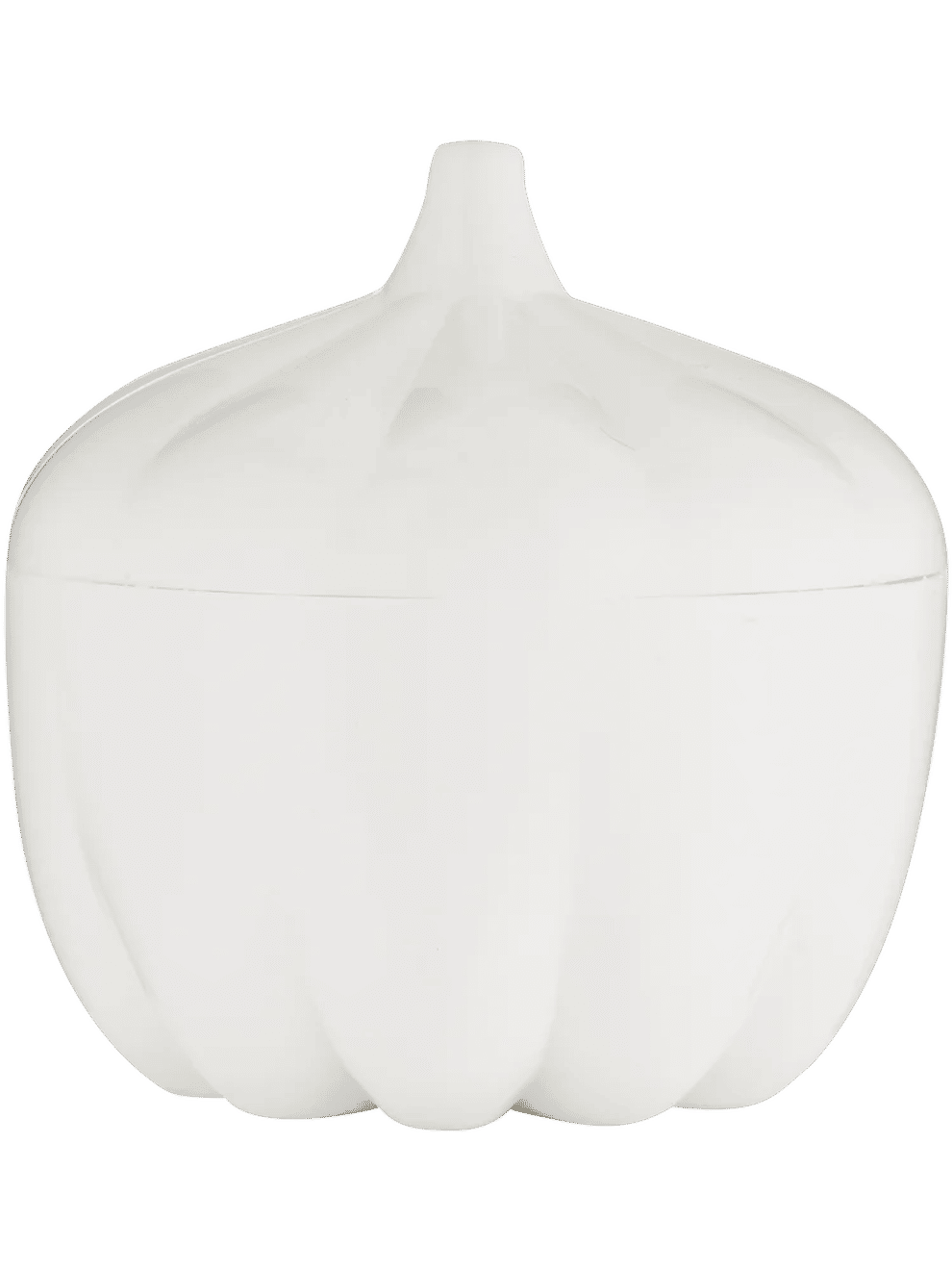 Garlic Keeper