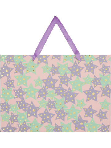 Landscape Stars Gift Bag