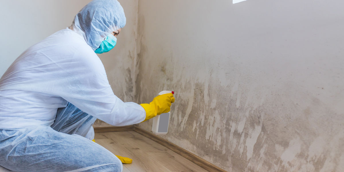 FAQS about Attic Mold Remediation Services in Newark, OH