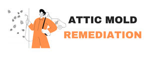 Mount Perry, OH Attic Mold Remediation
