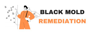 National Black Mold Remediation
