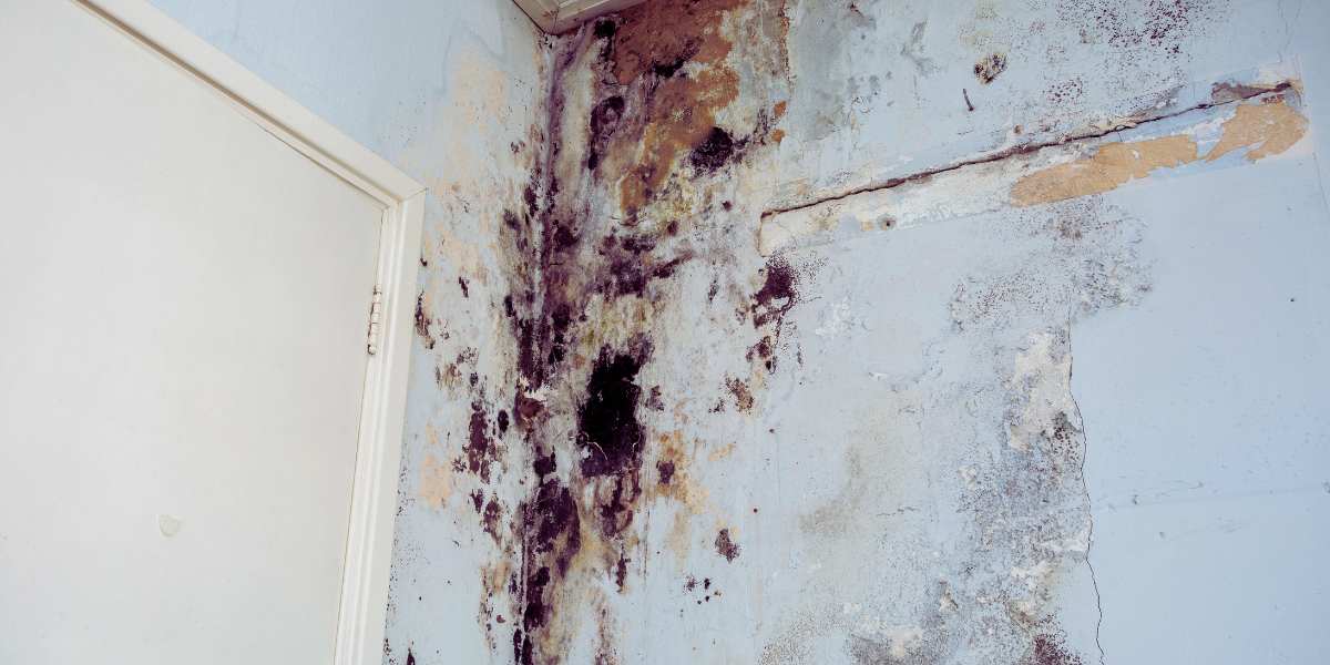 FAQS about Water Damage Restoration Services in Avoca, TX