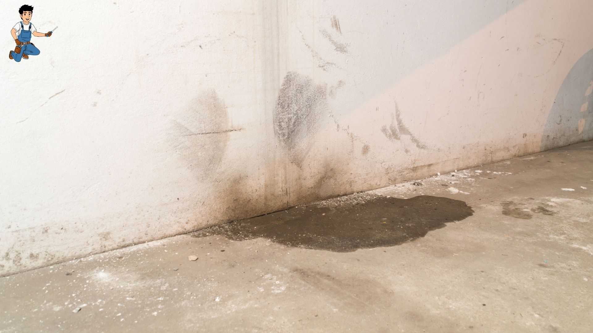 Water Damage Restoration in Chatsworth