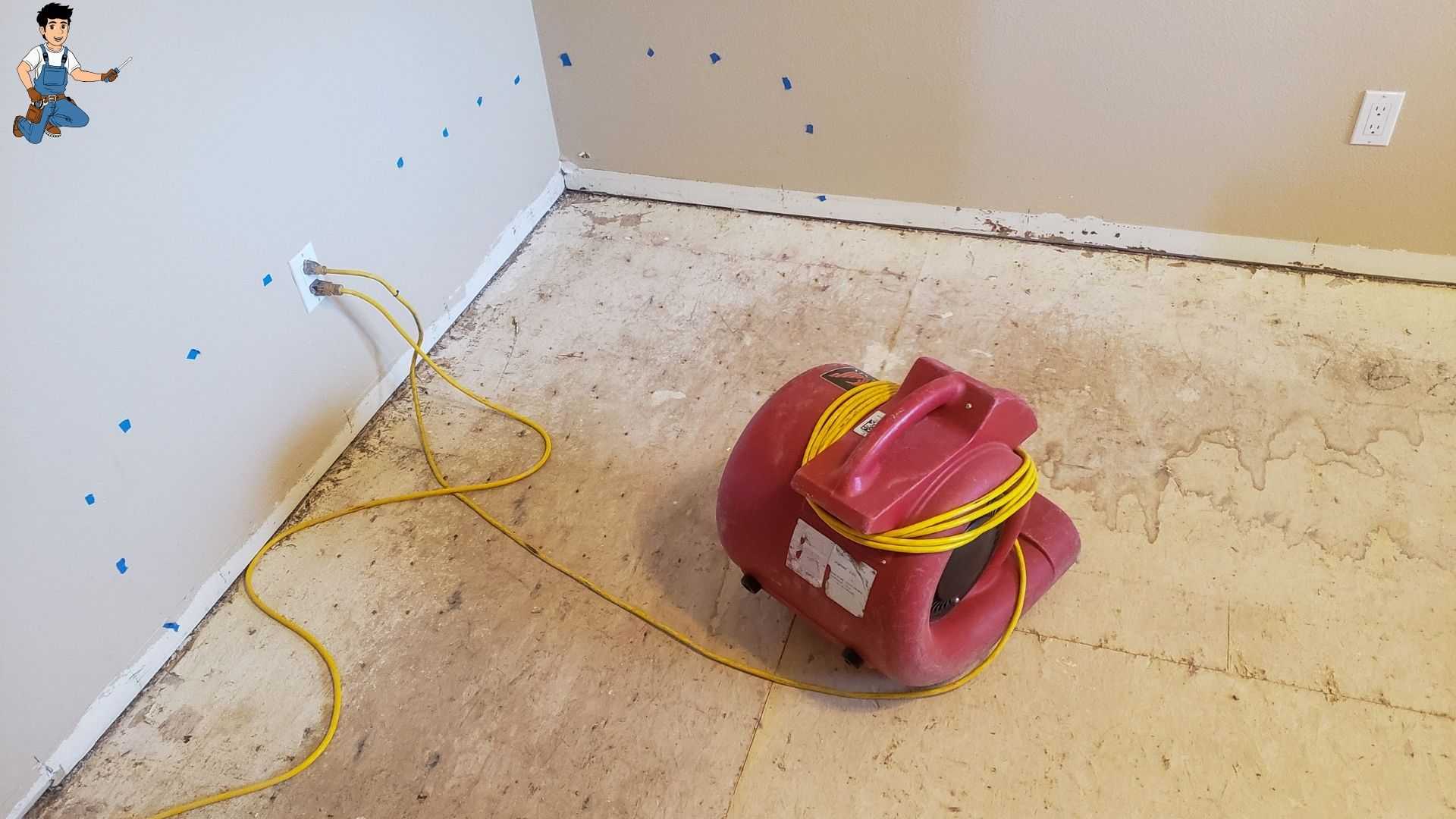 Water Damage Restoration Chatsworth