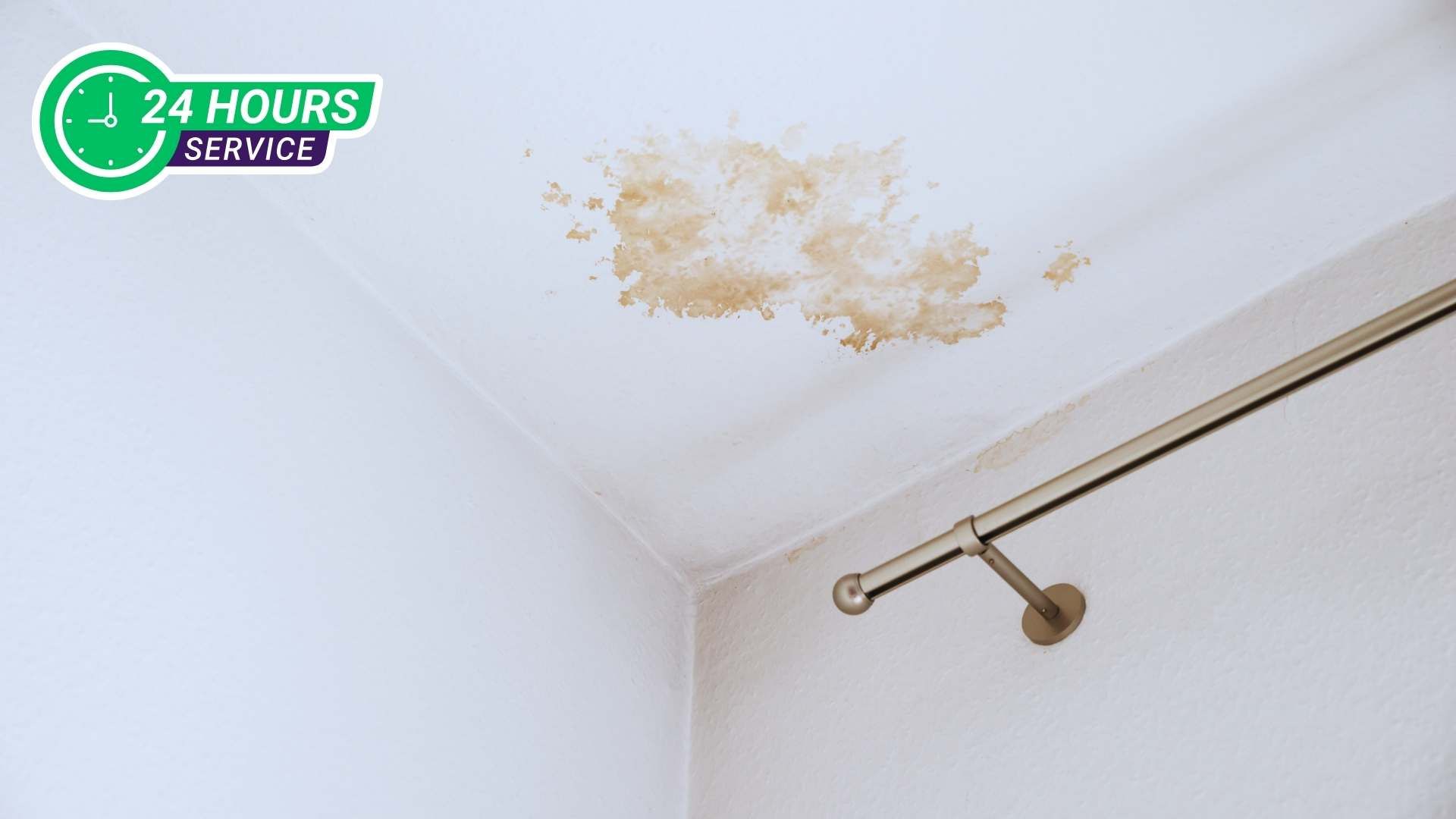 Water Damage Remediation Services in Jupiter, FL
