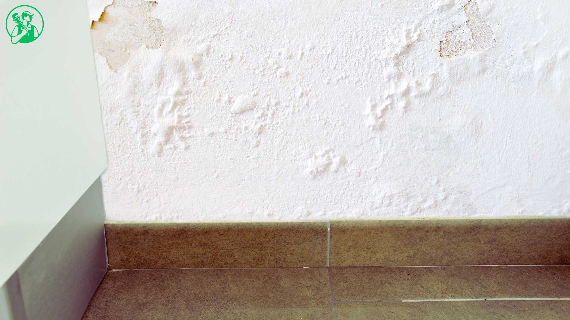 Water Damage Restoration in Wiconisco