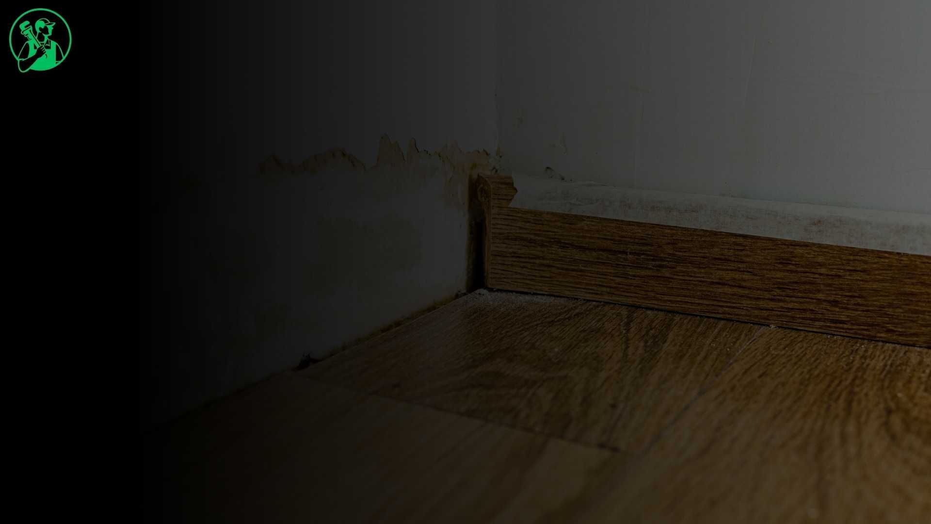 Water Damage Restoration in Wiconisco