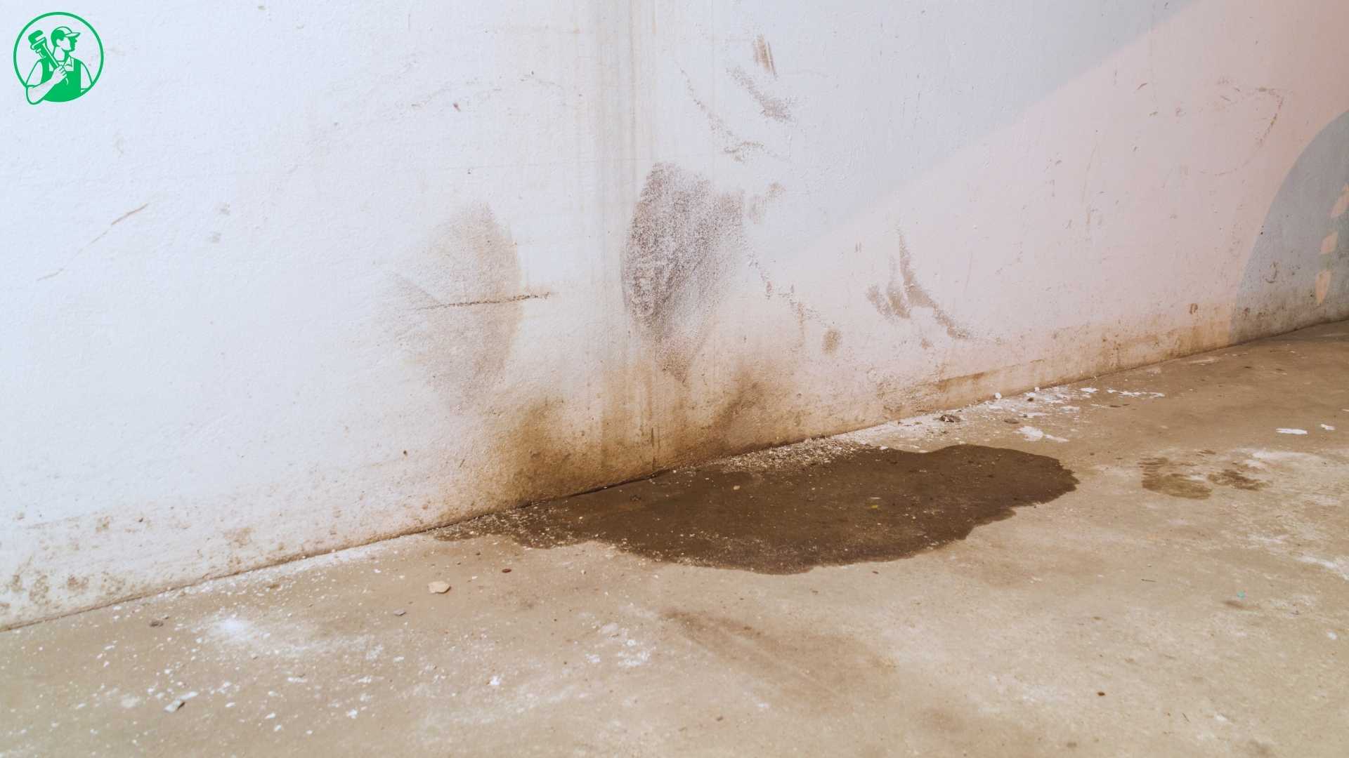 Water Damage Restoration in Wiconisco, PA