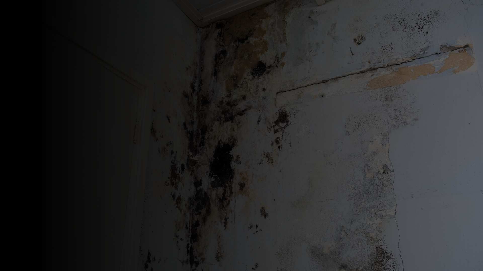 Water Damage Restoration Services in Danville