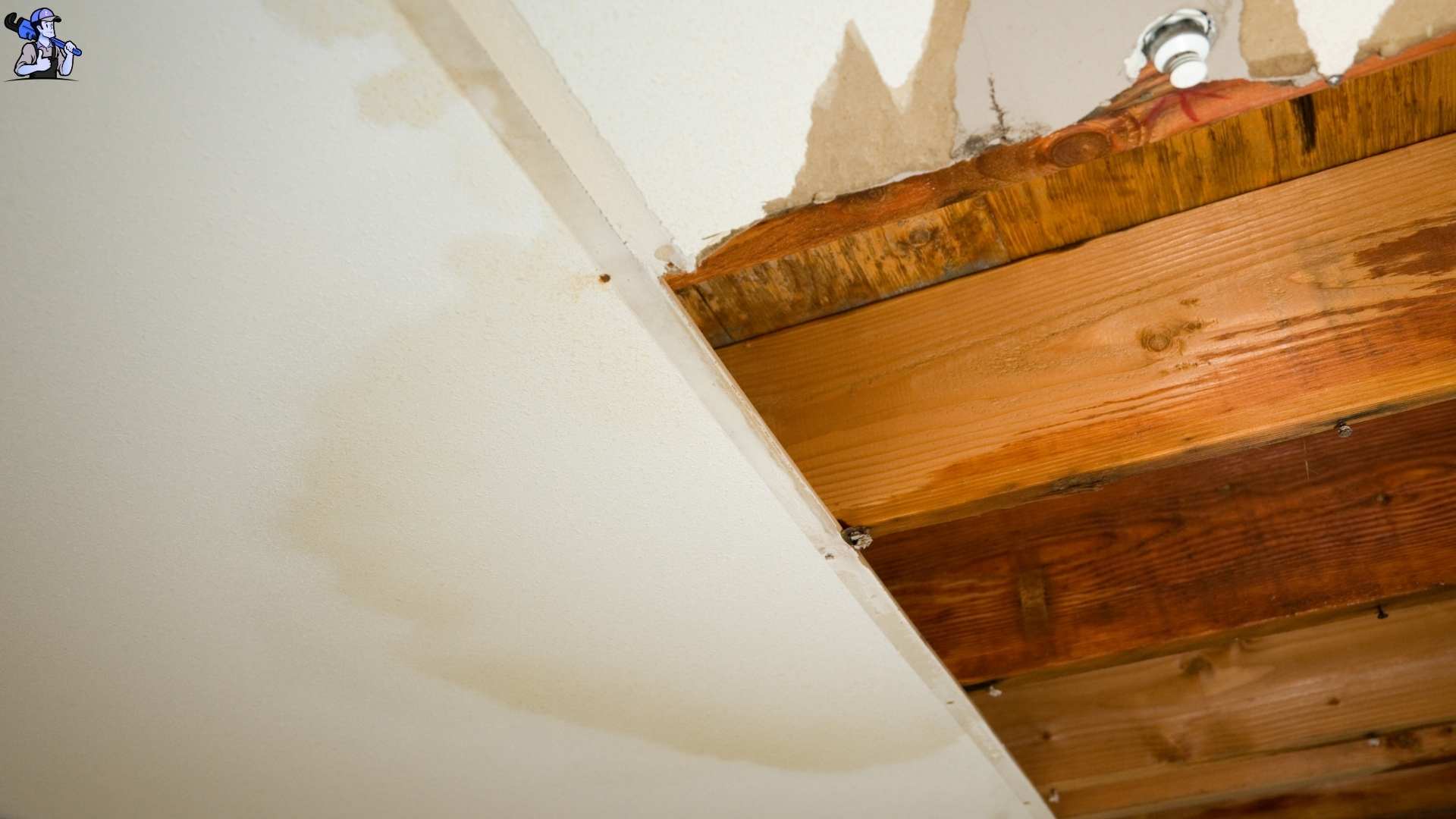 Water Damage Restoration in Eldon