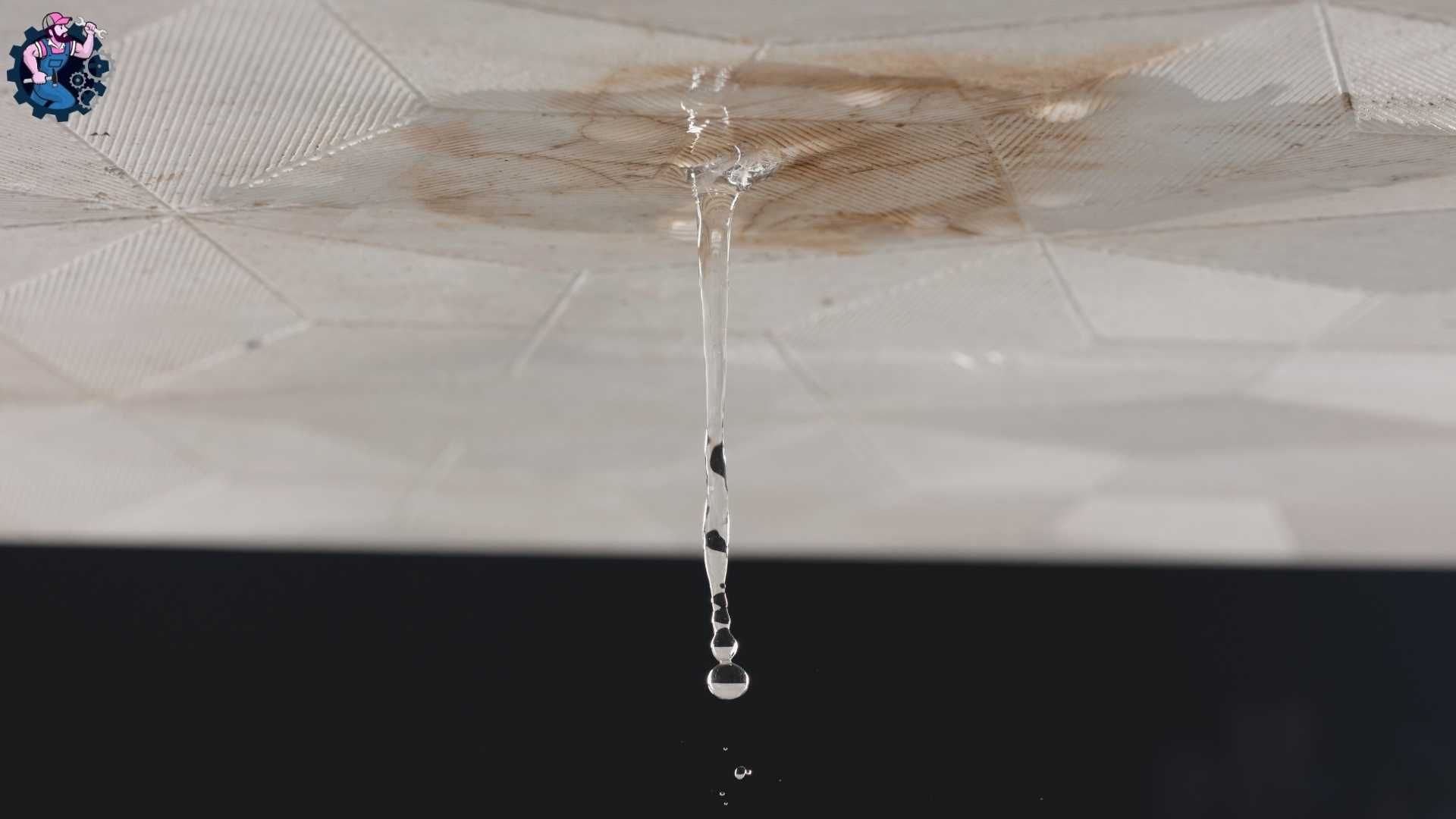 Water Damage Restoration in Jarratt, Virginia