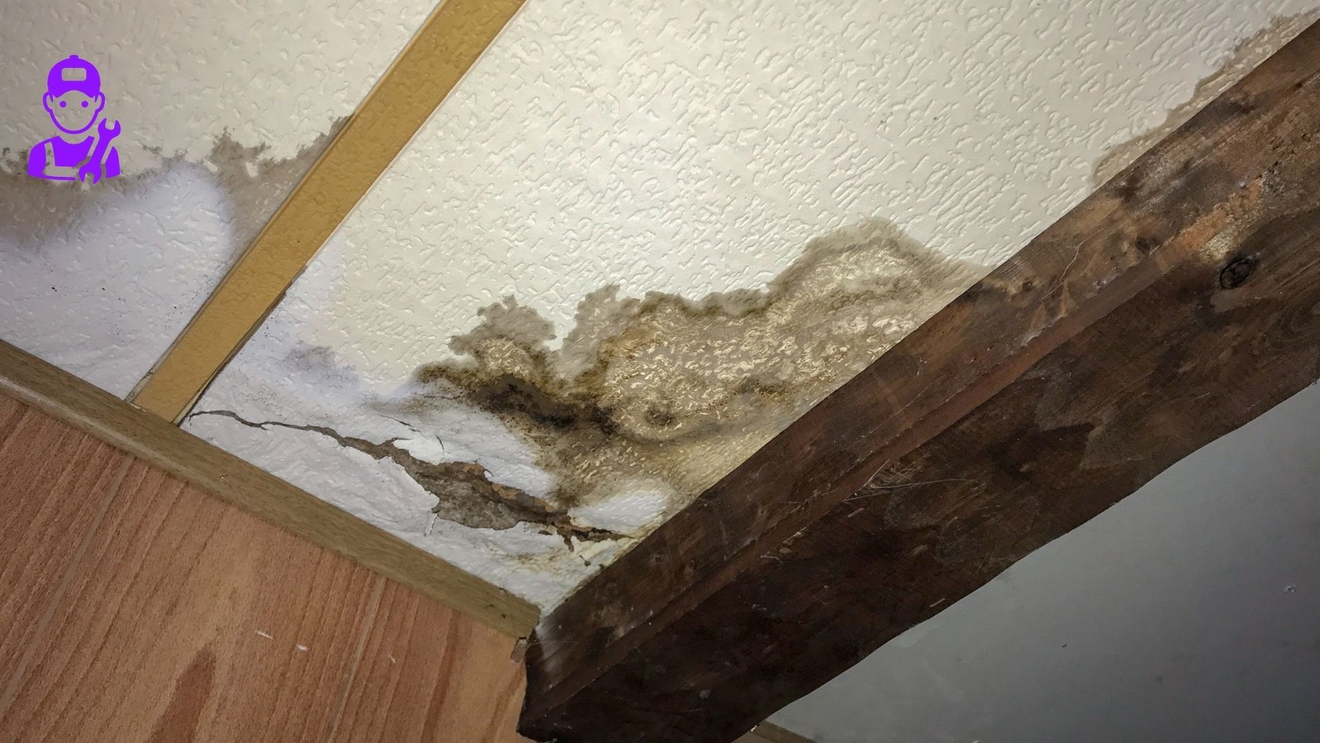 Water Damage Restoration New Boston